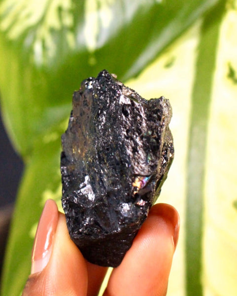 Black Tourmaline | Individual Piece